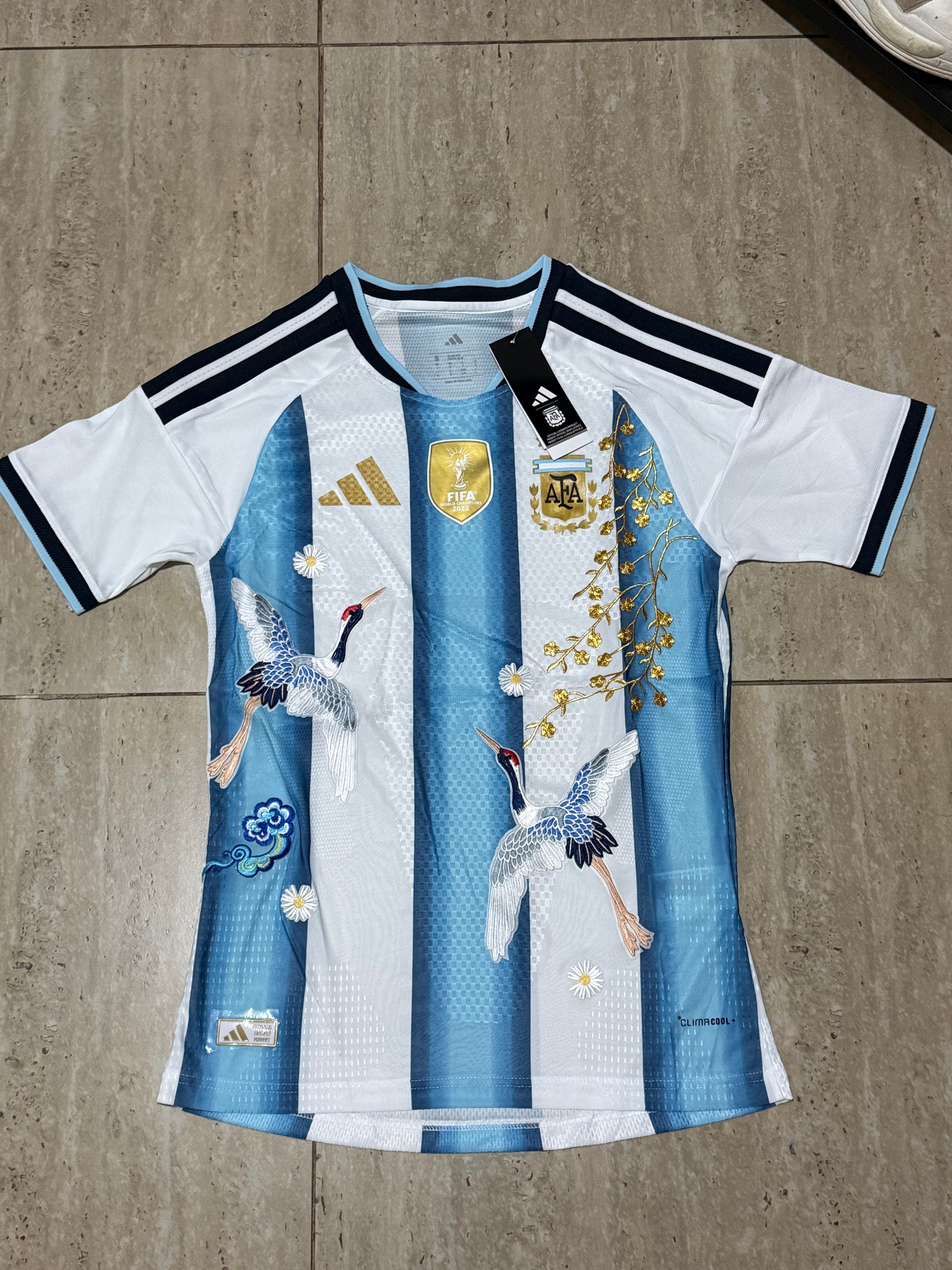 Argentina Embroidered Special kit Wc26
