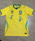 Brazil Embroidered home Wc26
