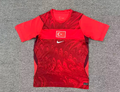 Turkey Home WC26